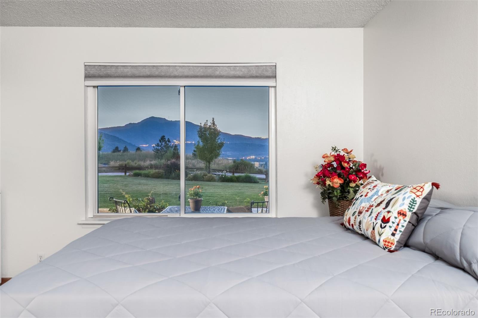 MLS Image #18 for 4226 s eldridge street,morrison, Colorado
