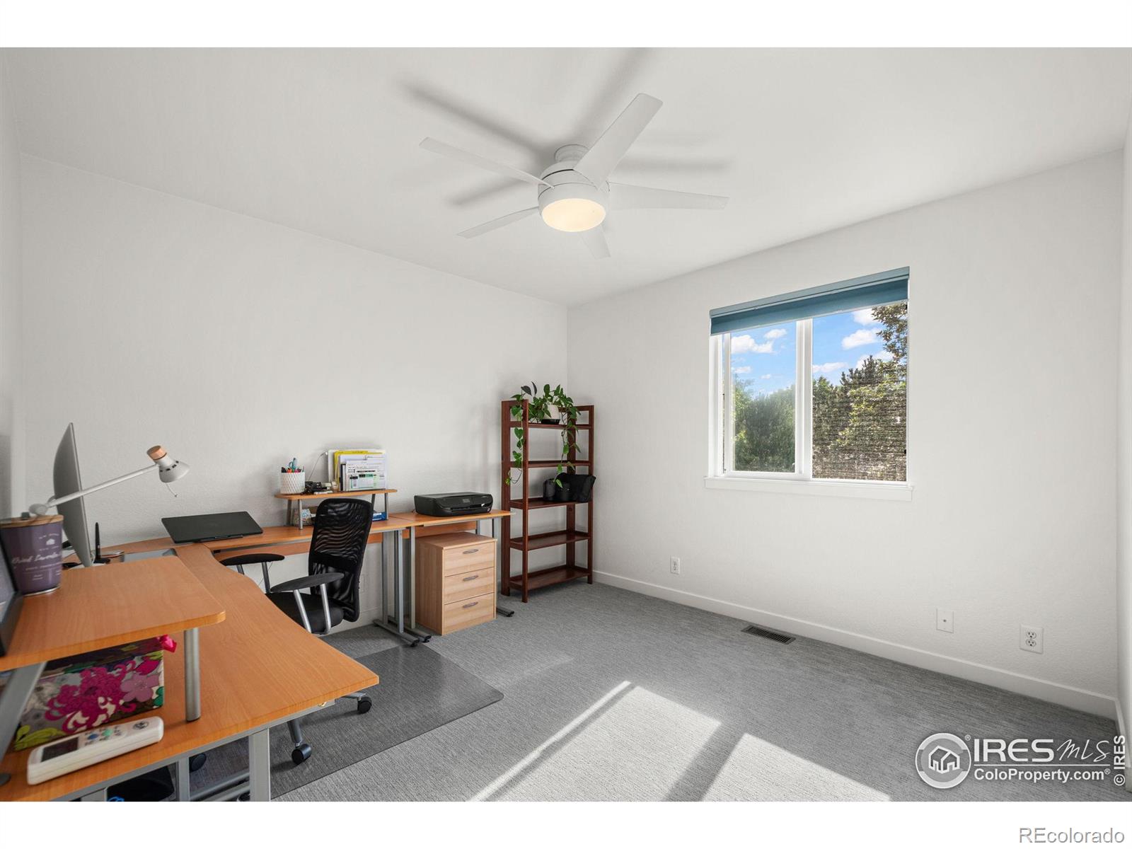 MLS Image #12 for 1313  carnation circle,longmont, Colorado