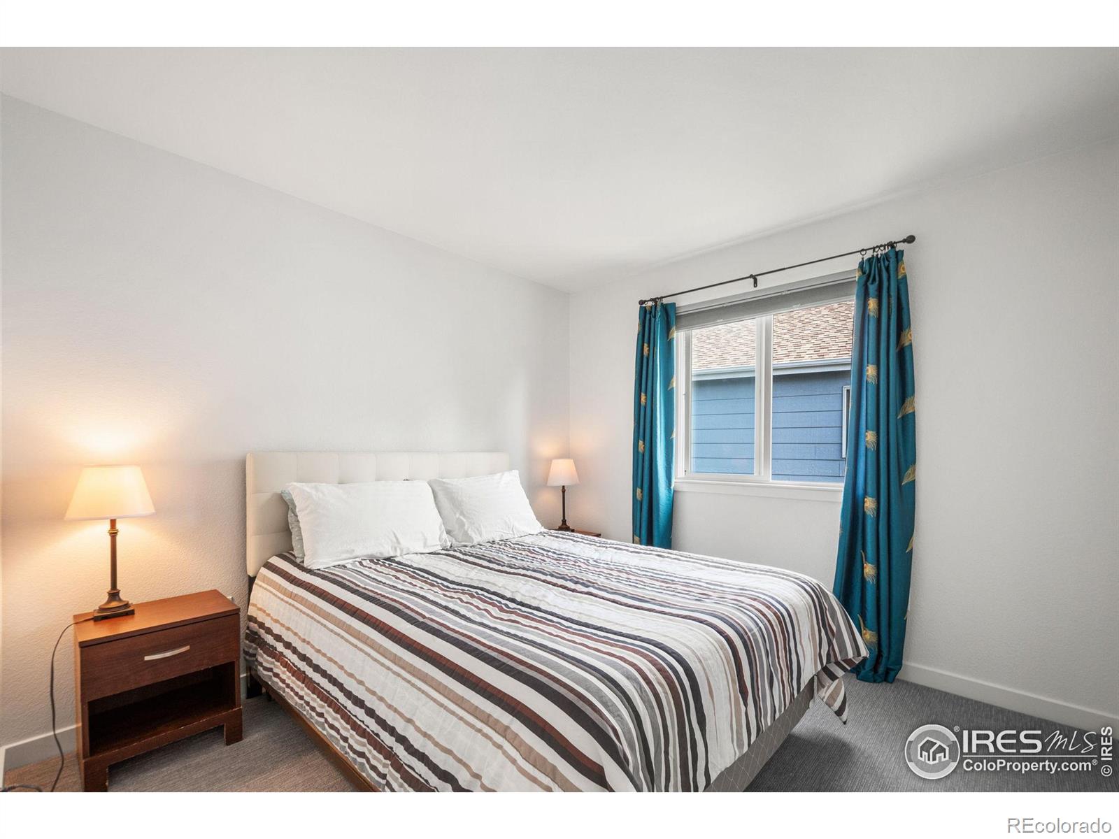 MLS Image #13 for 1313  carnation circle,longmont, Colorado
