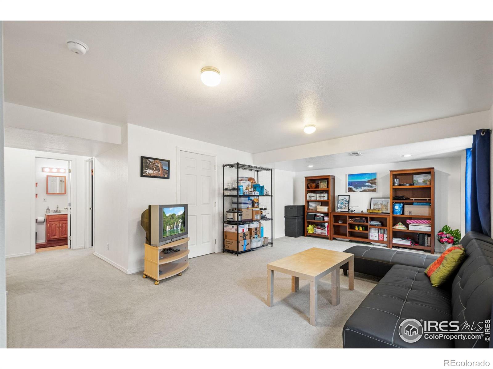 MLS Image #14 for 1313  carnation circle,longmont, Colorado