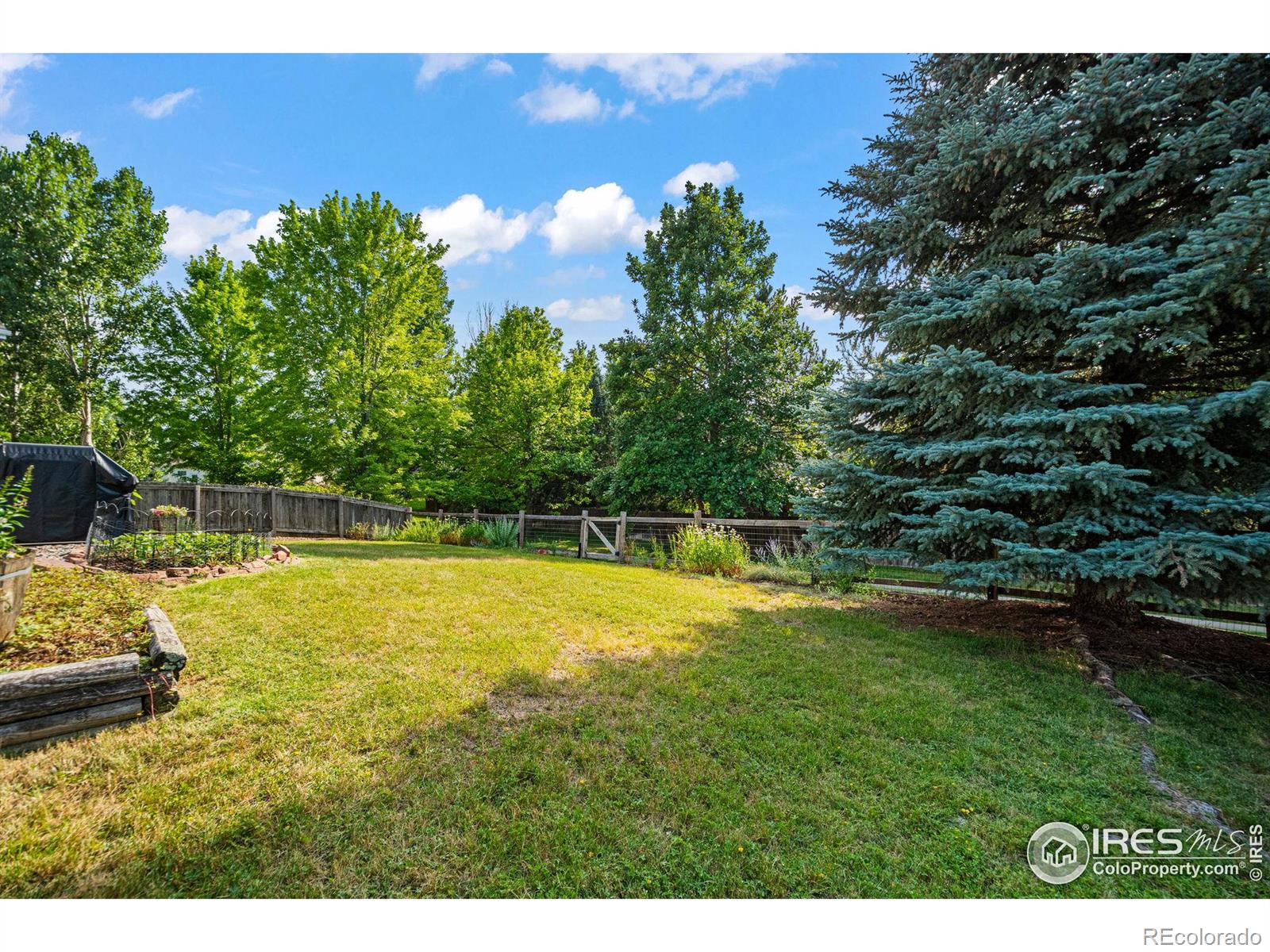MLS Image #18 for 1313  carnation circle,longmont, Colorado