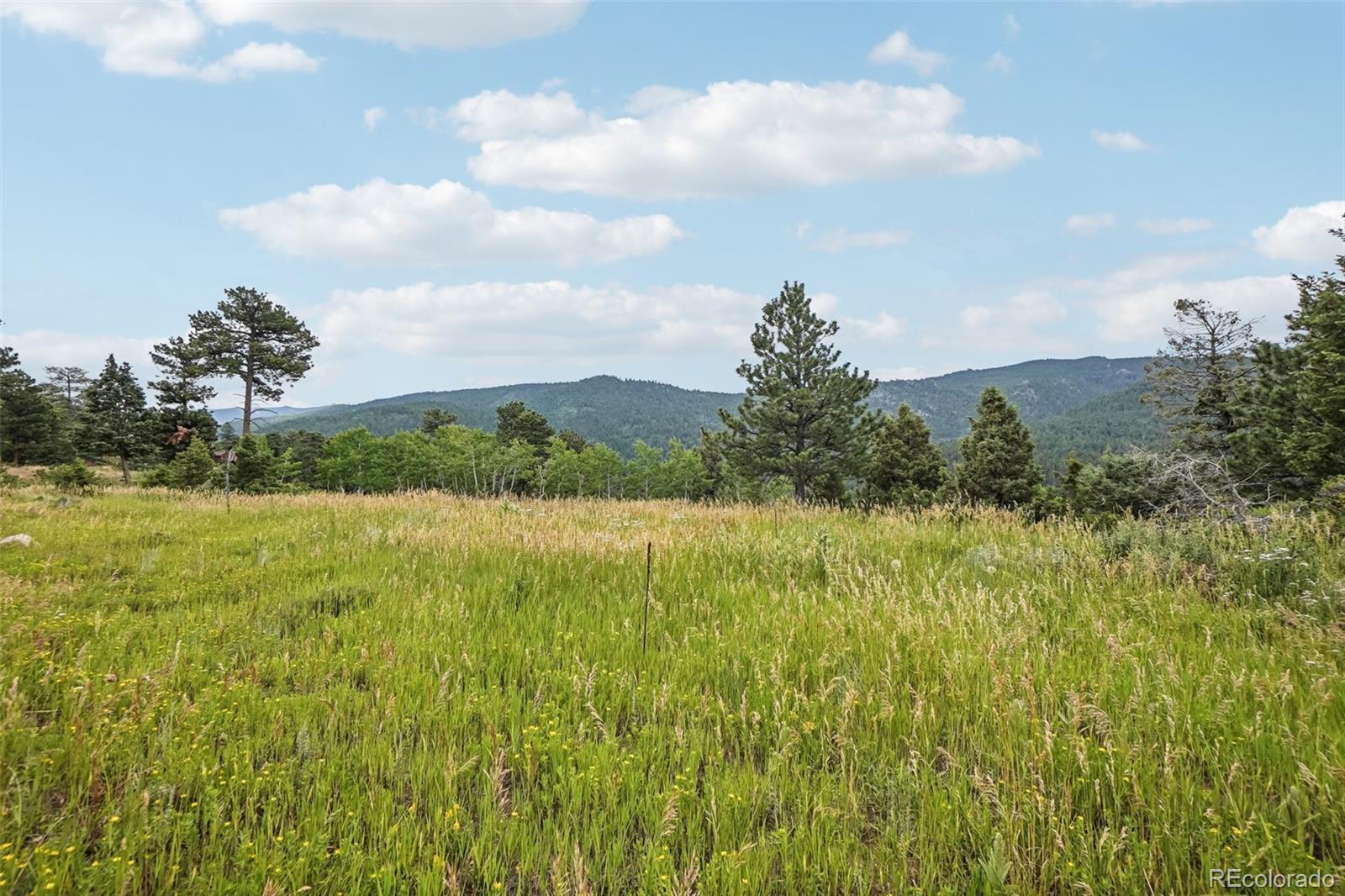 MLS Image #41 for 3592  ridge road,nederland, Colorado