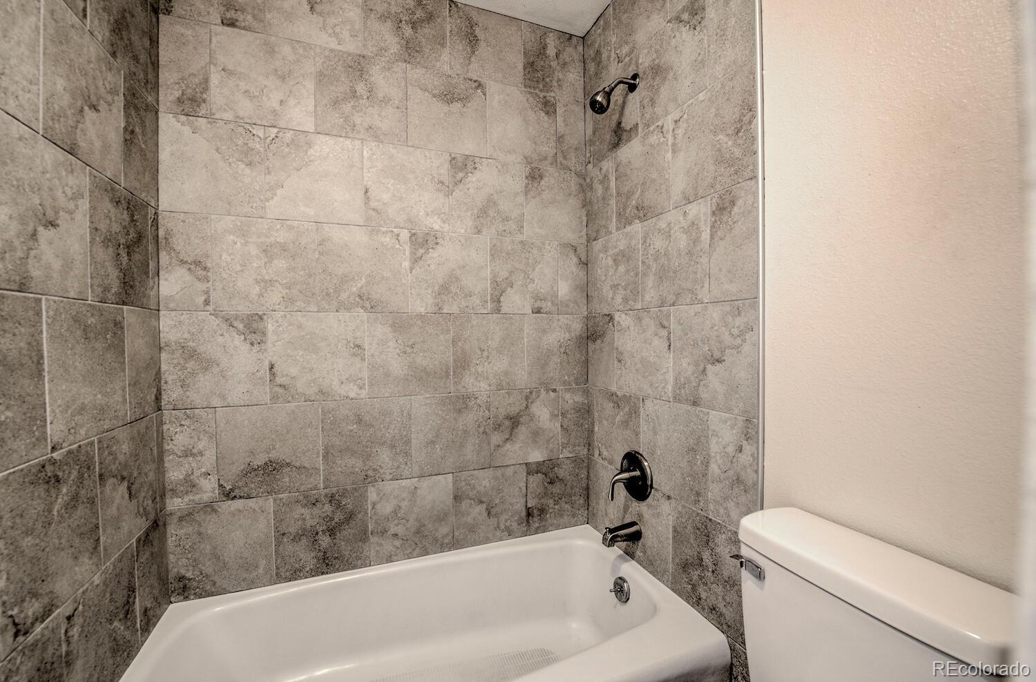 MLS Image #11 for 1213  straight creek drive,dillon, Colorado