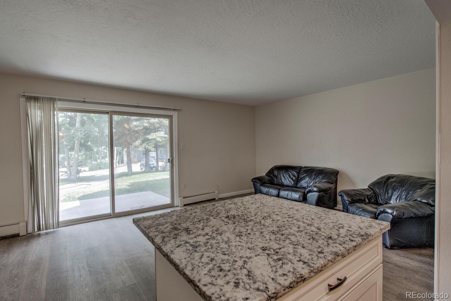MLS Image #5 for 1213  straight creek drive,dillon, Colorado