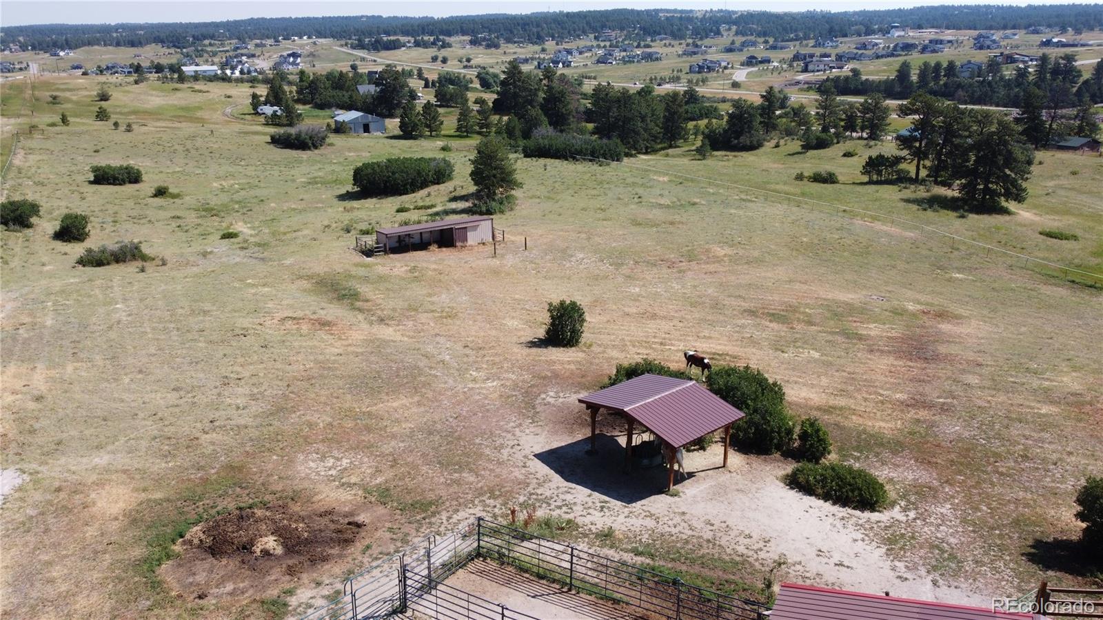 MLS Image #6 for 10750 e grant road,franktown, Colorado