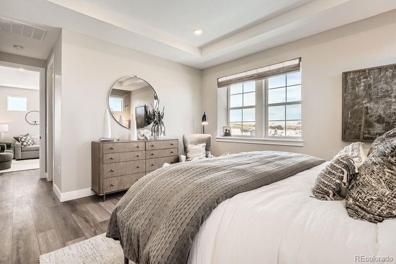 MLS Image #14 for 16280  amaryllis avenue,parker, Colorado