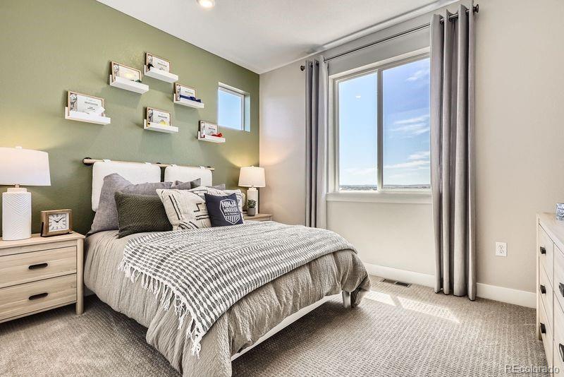 MLS Image #22 for 16280  amaryllis avenue,parker, Colorado
