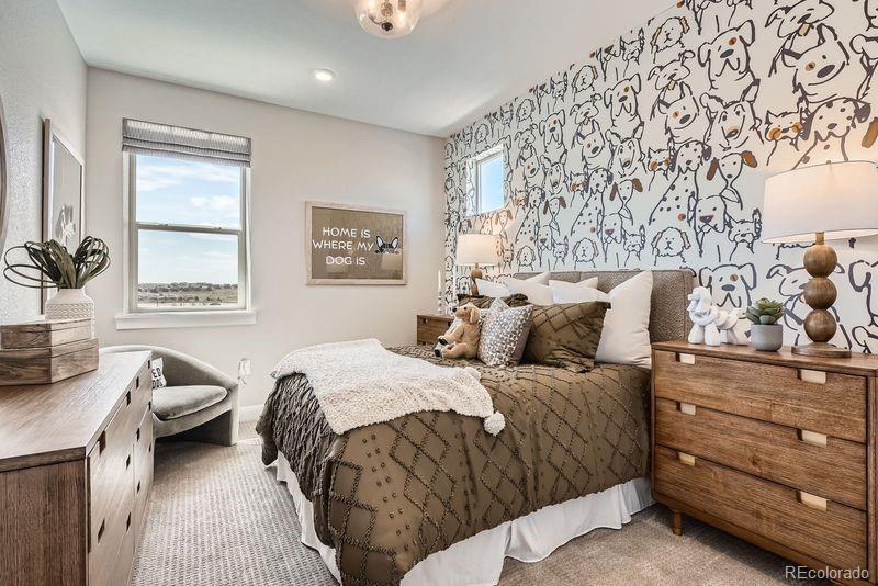 MLS Image #23 for 16280  amaryllis avenue,parker, Colorado