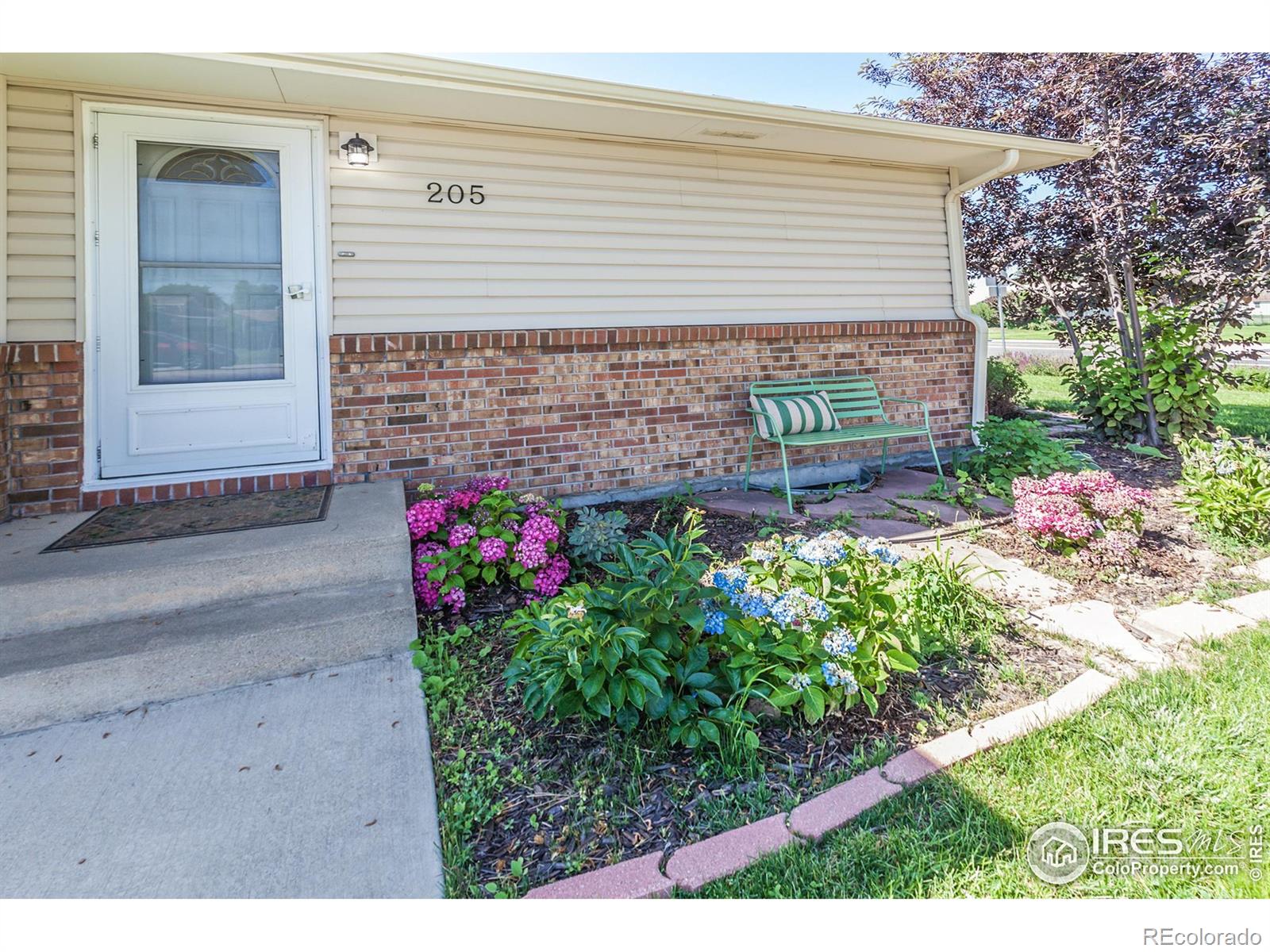 MLS Image #2 for 205  maple court,windsor, Colorado