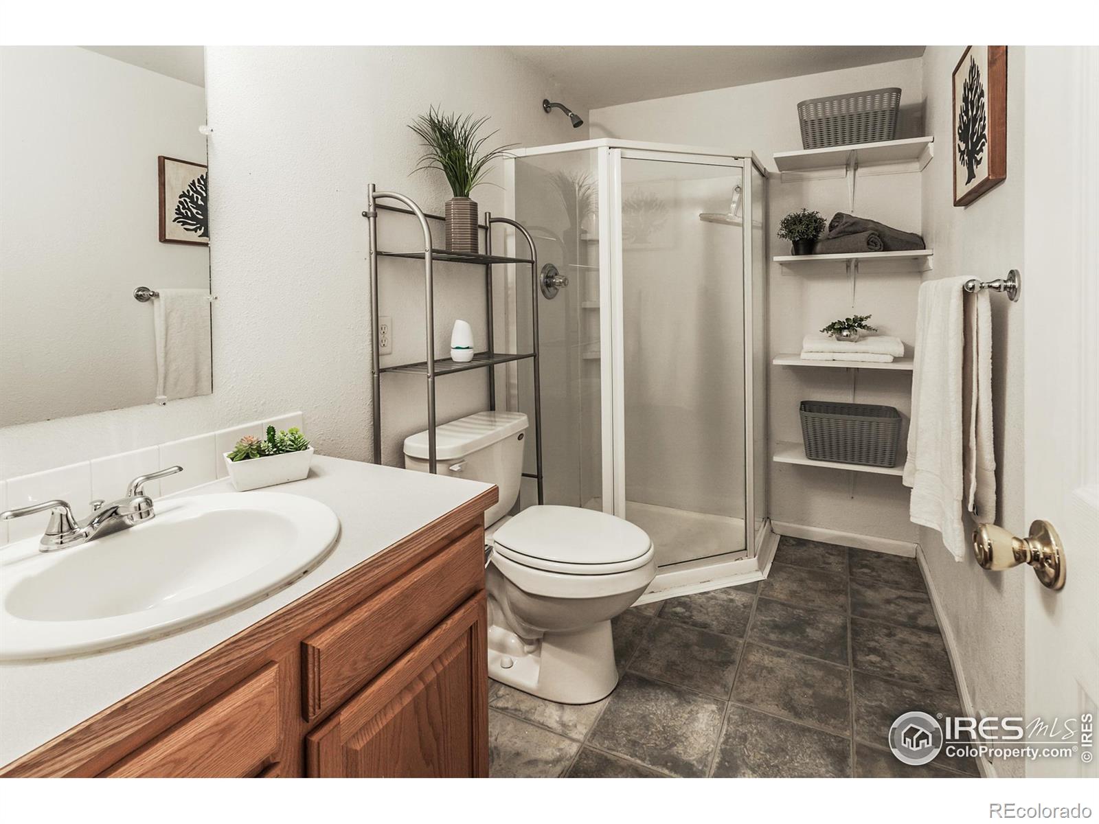 MLS Image #29 for 205  maple court,windsor, Colorado