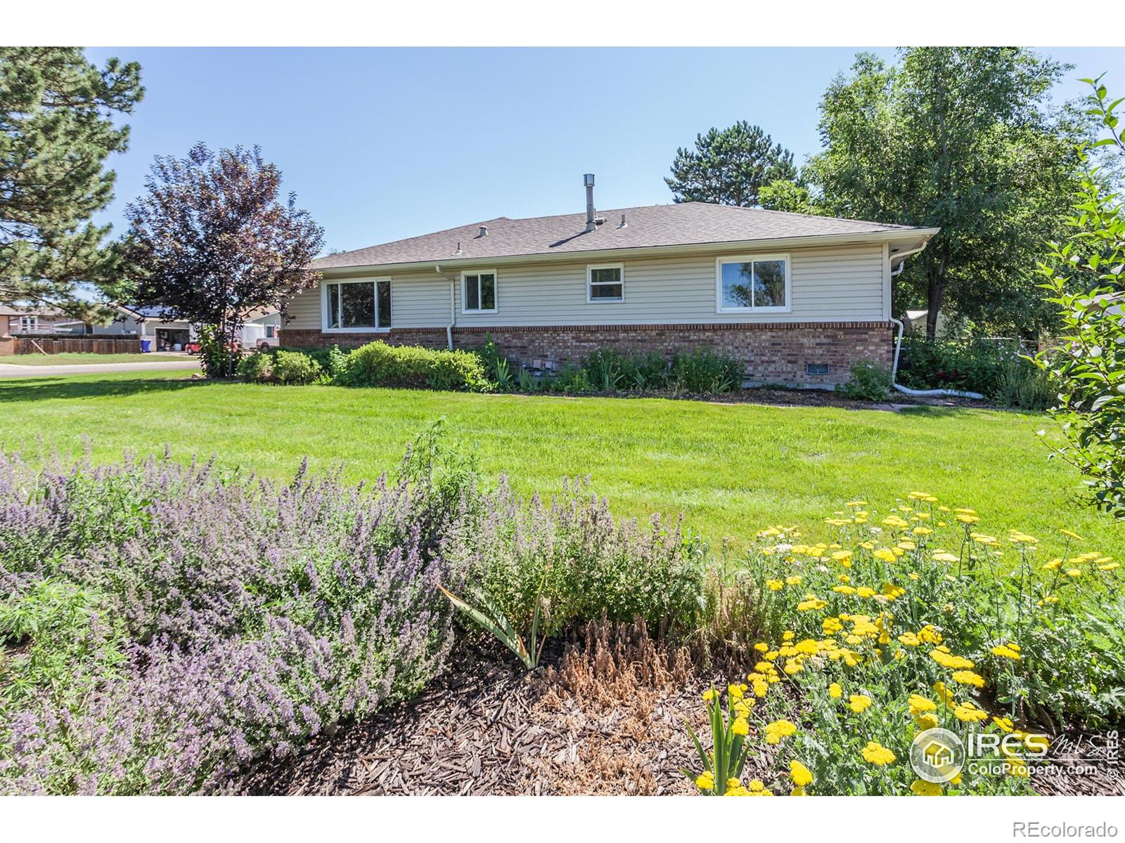 MLS Image #3 for 205  maple court,windsor, Colorado