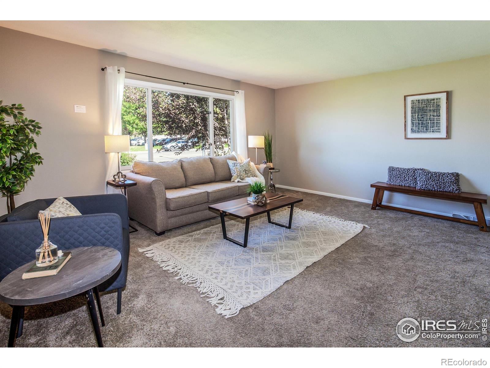 MLS Image #6 for 205  maple court,windsor, Colorado