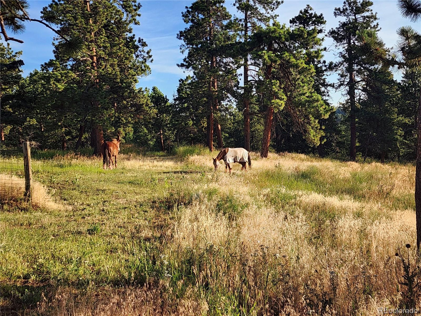 MLS Image #42 for 31727  sylvan road,golden, Colorado