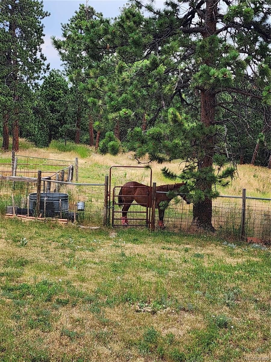 MLS Image #43 for 31727  sylvan road,golden, Colorado