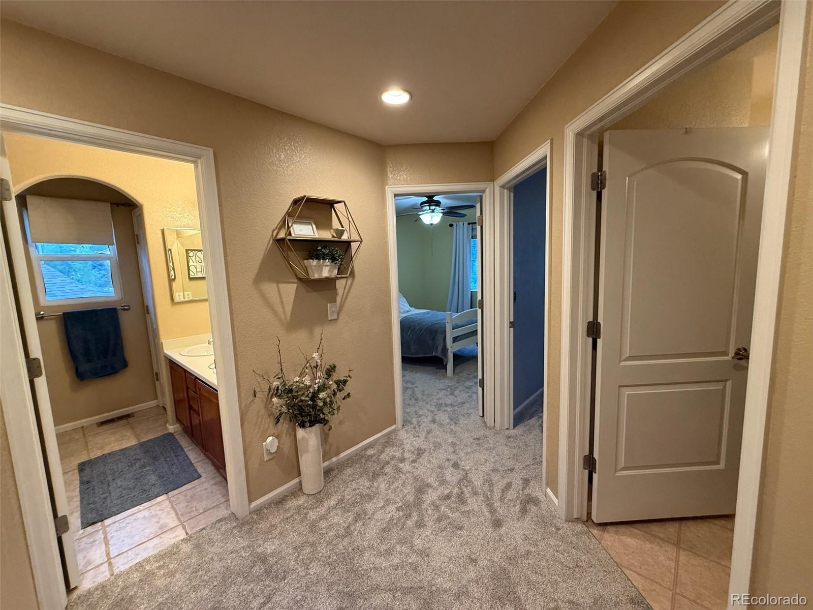 MLS Image #17 for 2421  ivy way,erie, Colorado