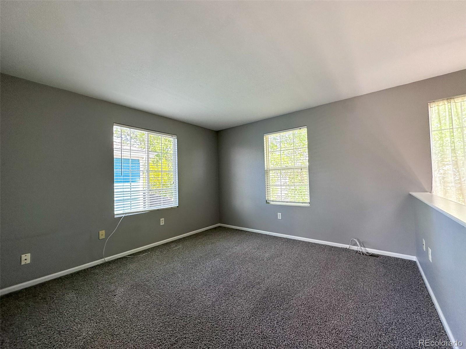 MLS Image #10 for 5095  miriam lane,parker, Colorado