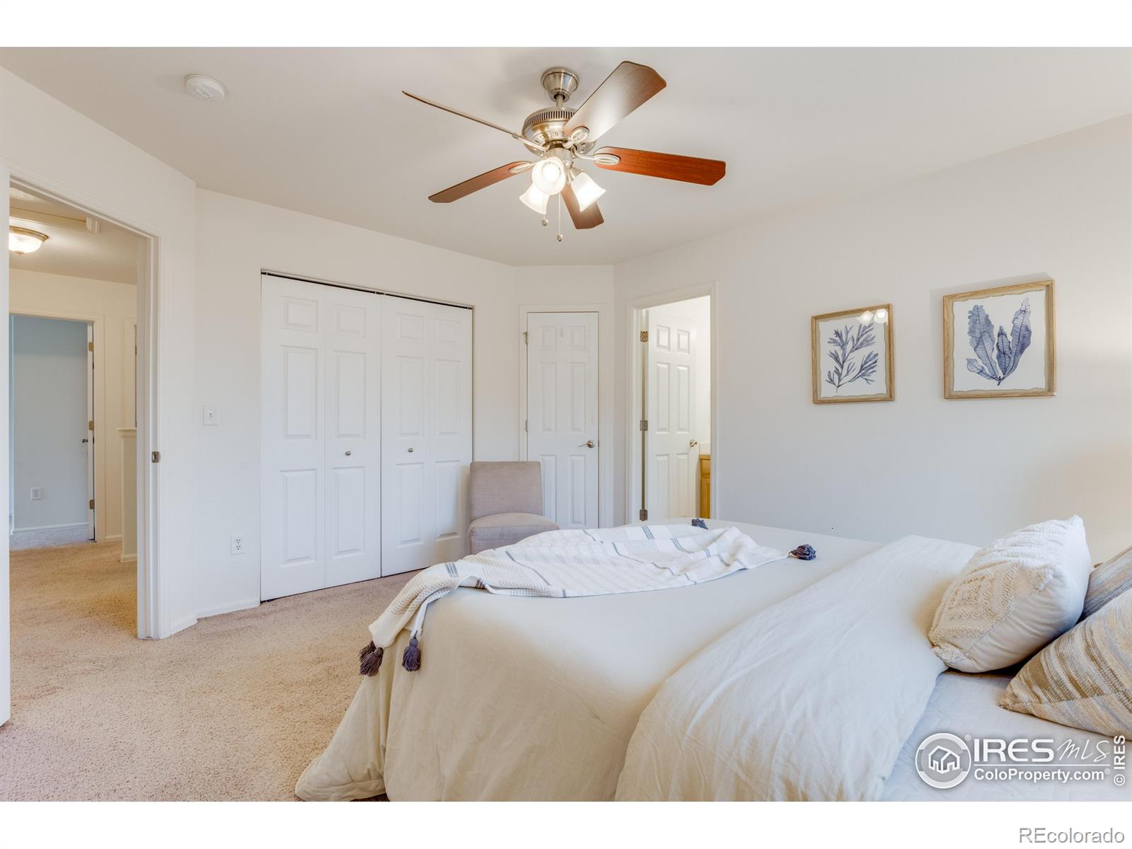 MLS Image #17 for 2463  clarion lane,fort collins, Colorado