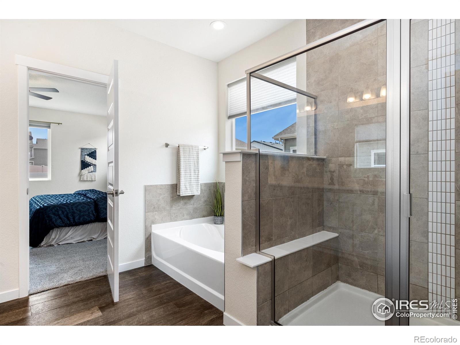MLS Image #15 for 1141  ibex drive,severance, Colorado