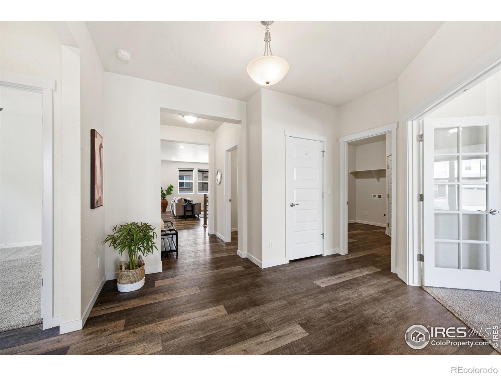 MLS Image #6 for 1141  ibex drive,severance, Colorado
