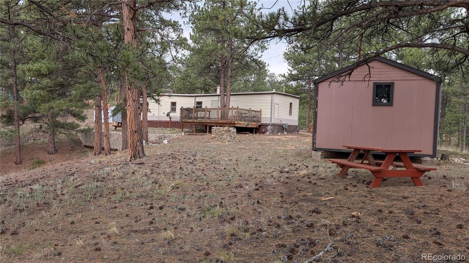 MLS Image #19 for 320  forest glen trail,florissant, Colorado