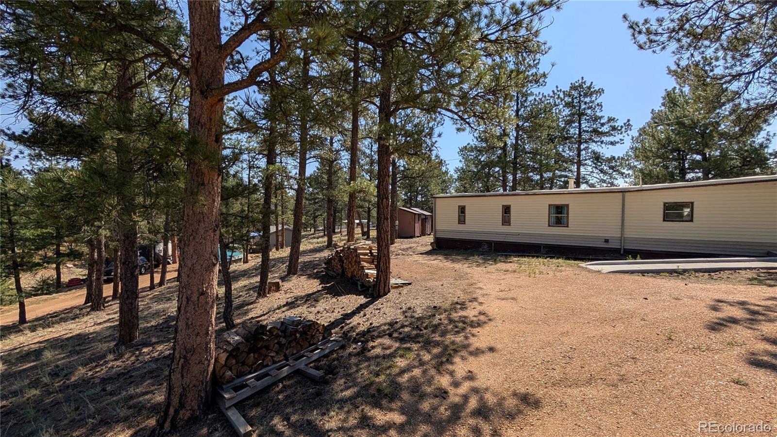MLS Image #20 for 320  forest glen trail,florissant, Colorado