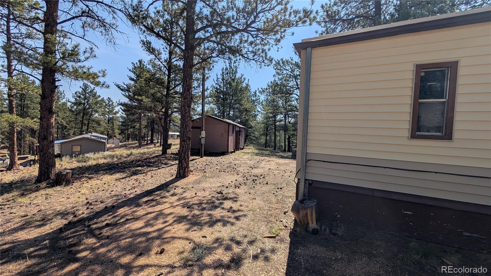 MLS Image #22 for 320  forest glen trail,florissant, Colorado