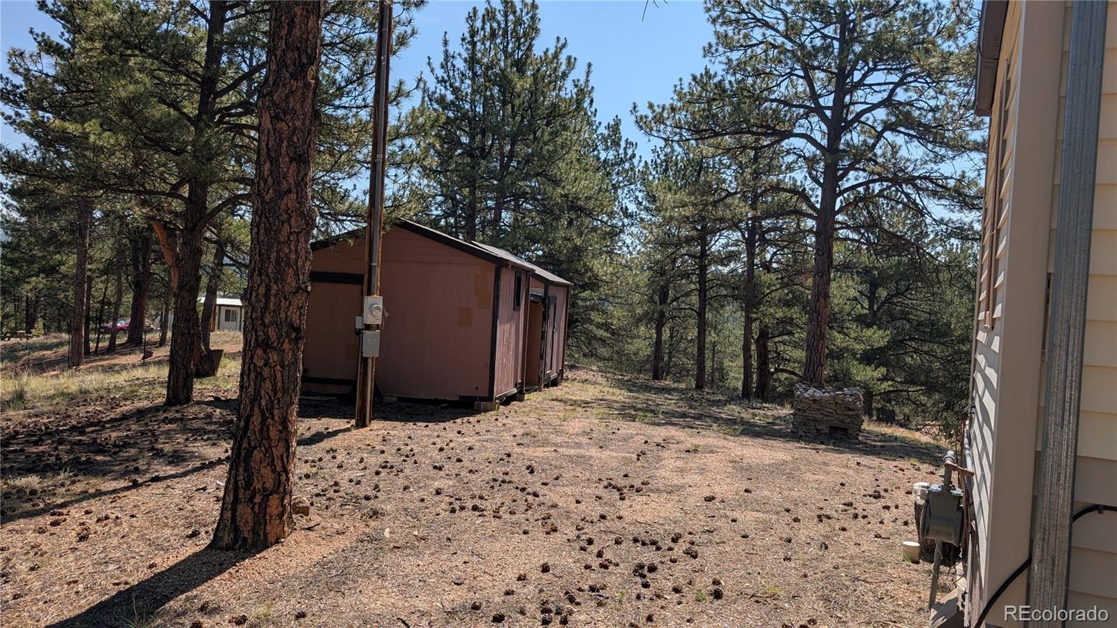 MLS Image #23 for 320  forest glen trail,florissant, Colorado