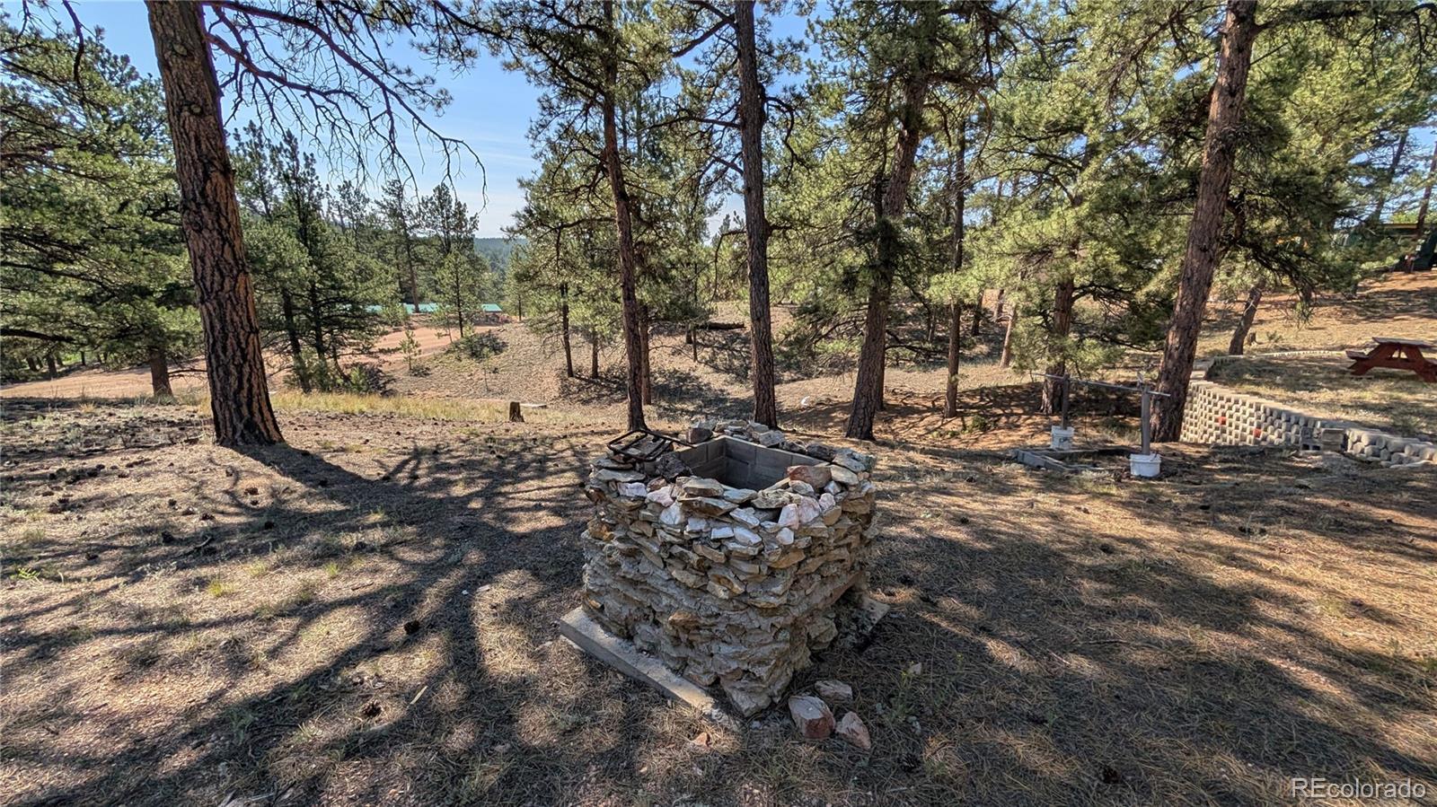 MLS Image #24 for 320  forest glen trail,florissant, Colorado