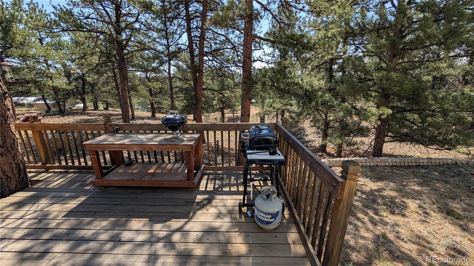 MLS Image #37 for 320  forest glen trail,florissant, Colorado
