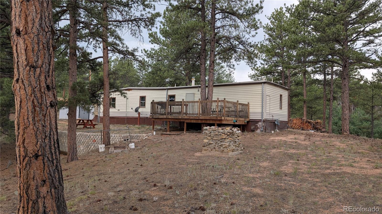 MLS Image #6 for 320  forest glen trail,florissant, Colorado