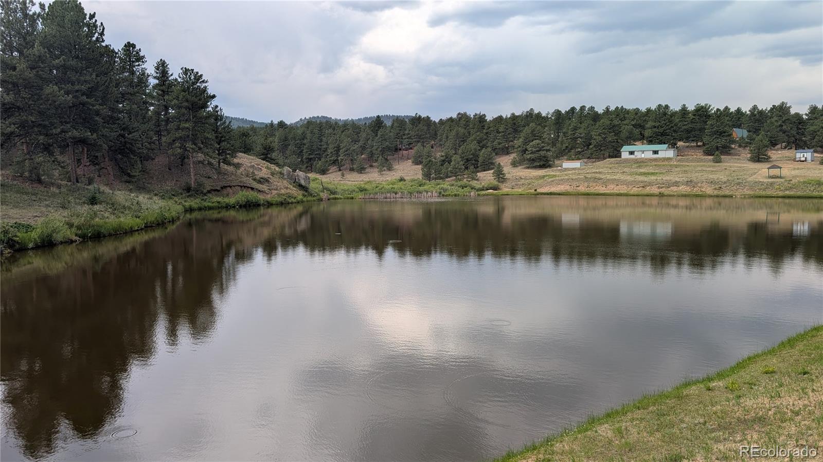 MLS Image #7 for 320  forest glen trail,florissant, Colorado