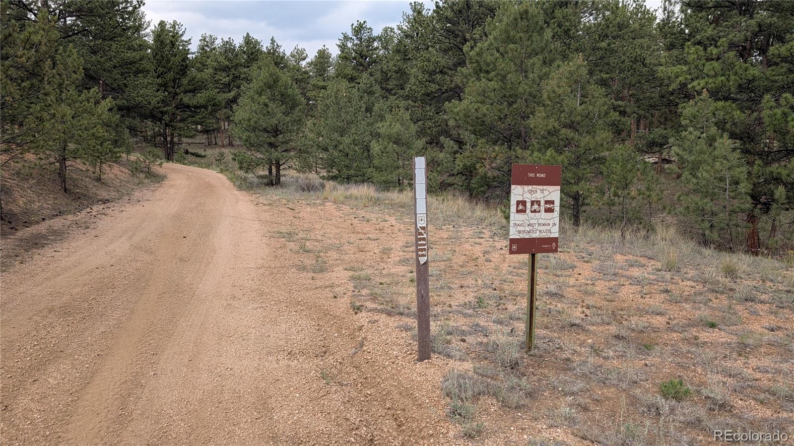 MLS Image #8 for 320  forest glen trail,florissant, Colorado