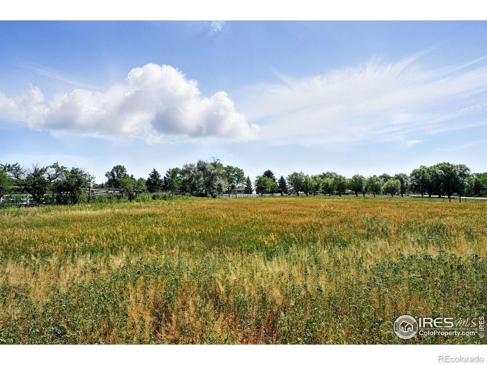 MLS Image #28 for 612  wilfred road,berthoud, Colorado