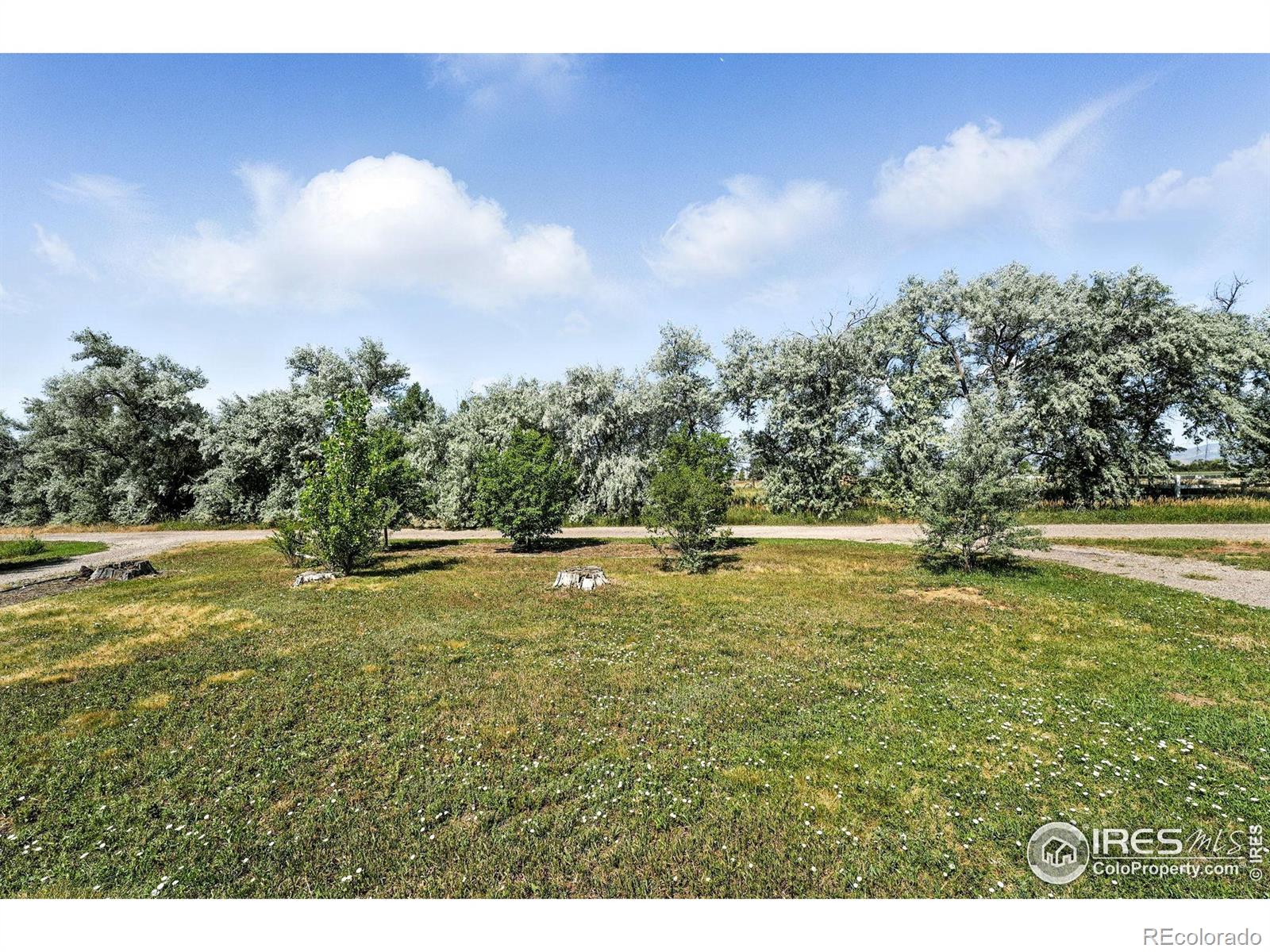 MLS Image #31 for 612  wilfred road,berthoud, Colorado