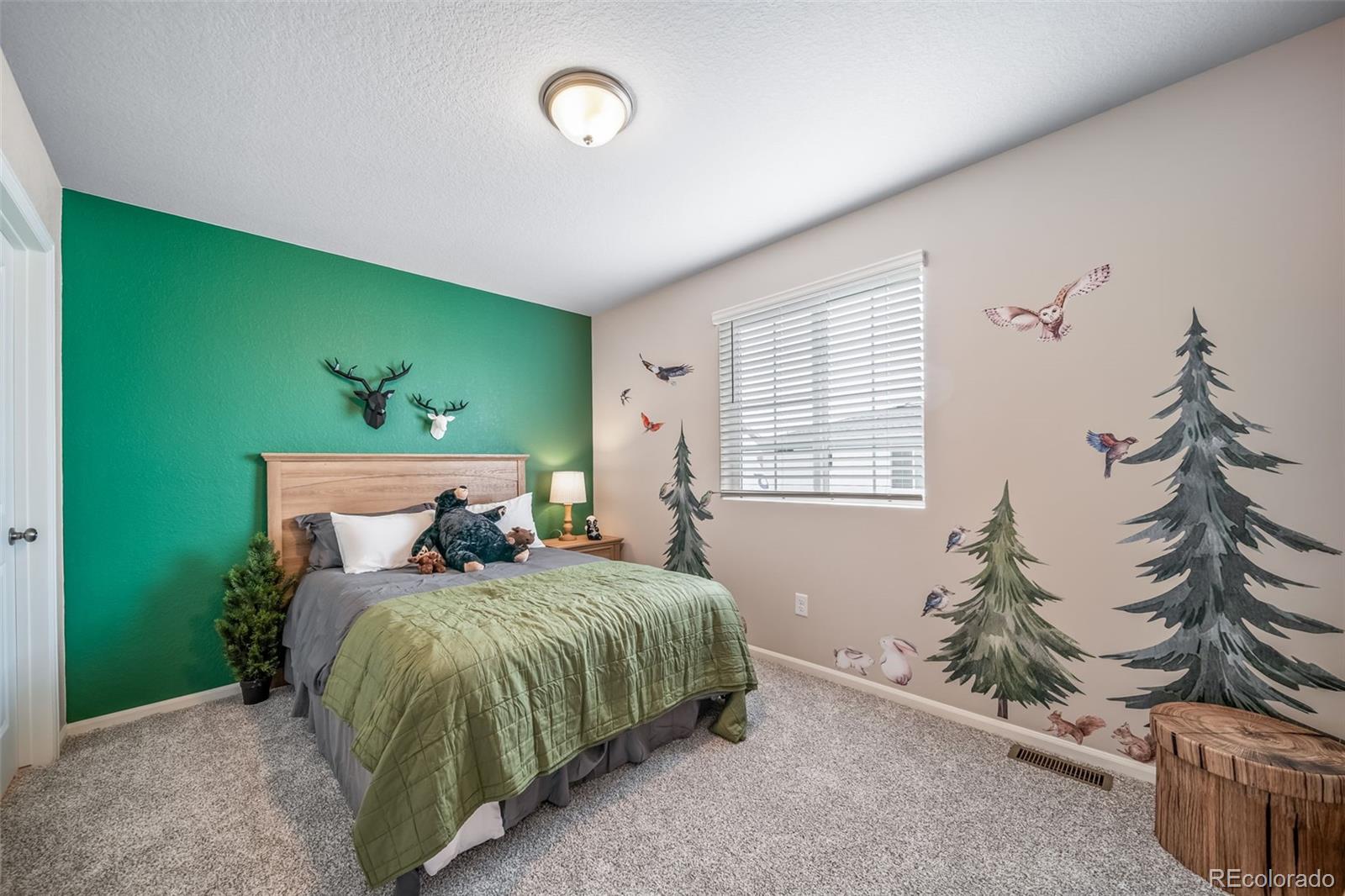 MLS Image #28 for 22314 e 39th avenue,aurora, Colorado