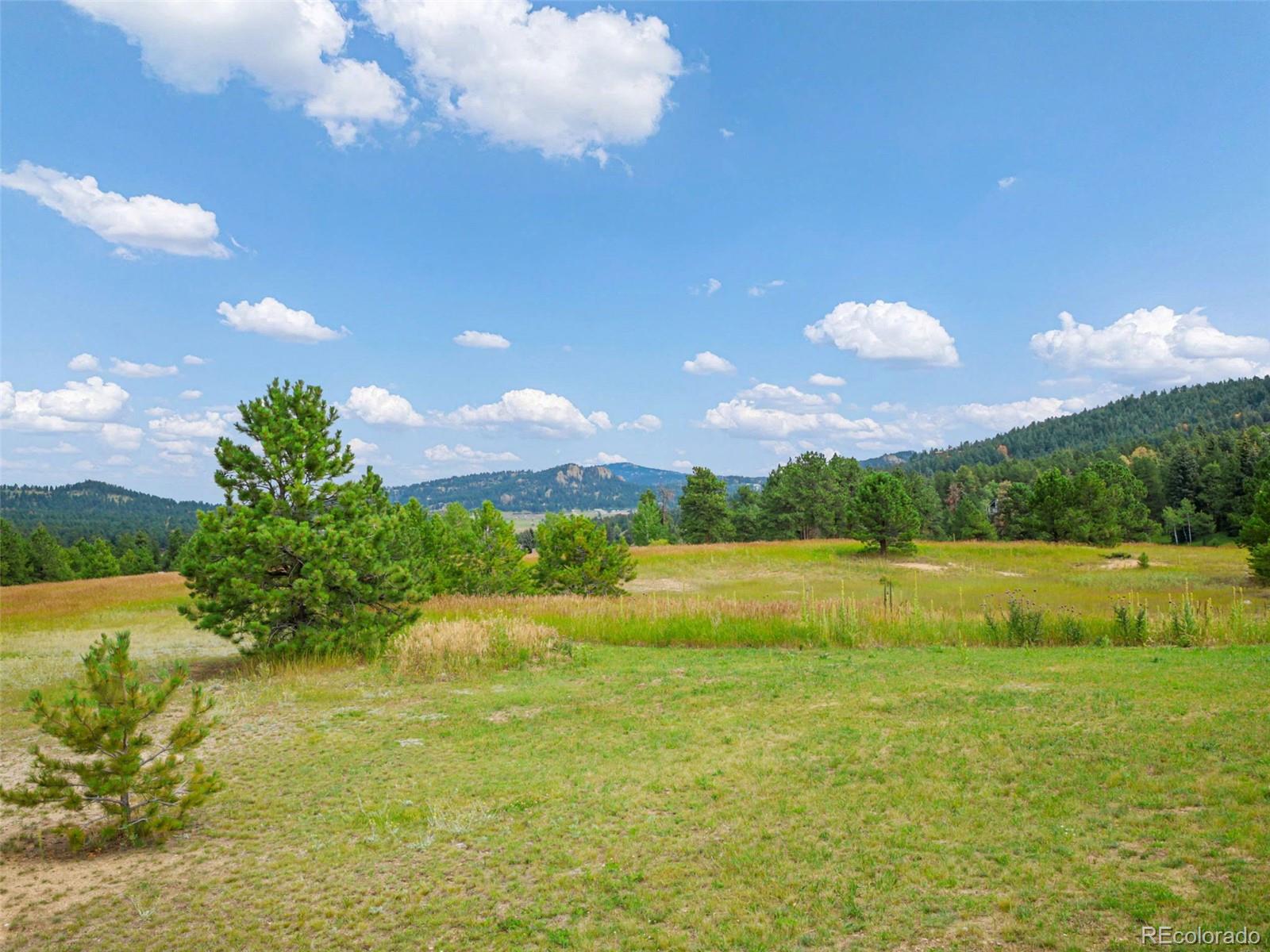 MLS Image #21 for 8442  gray fox drive,evergreen, Colorado