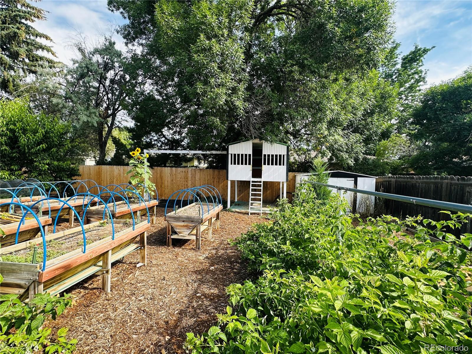 MLS Image #21 for 2936  colgate drive,longmont, Colorado