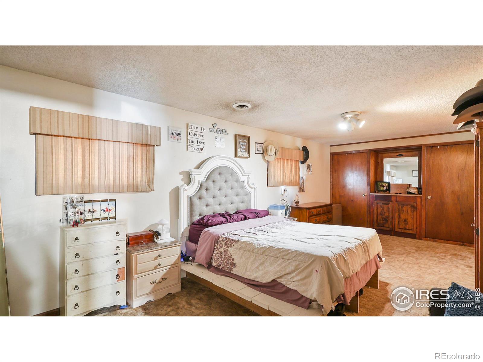 MLS Image #10 for 100  spruce street,log lane village, Colorado