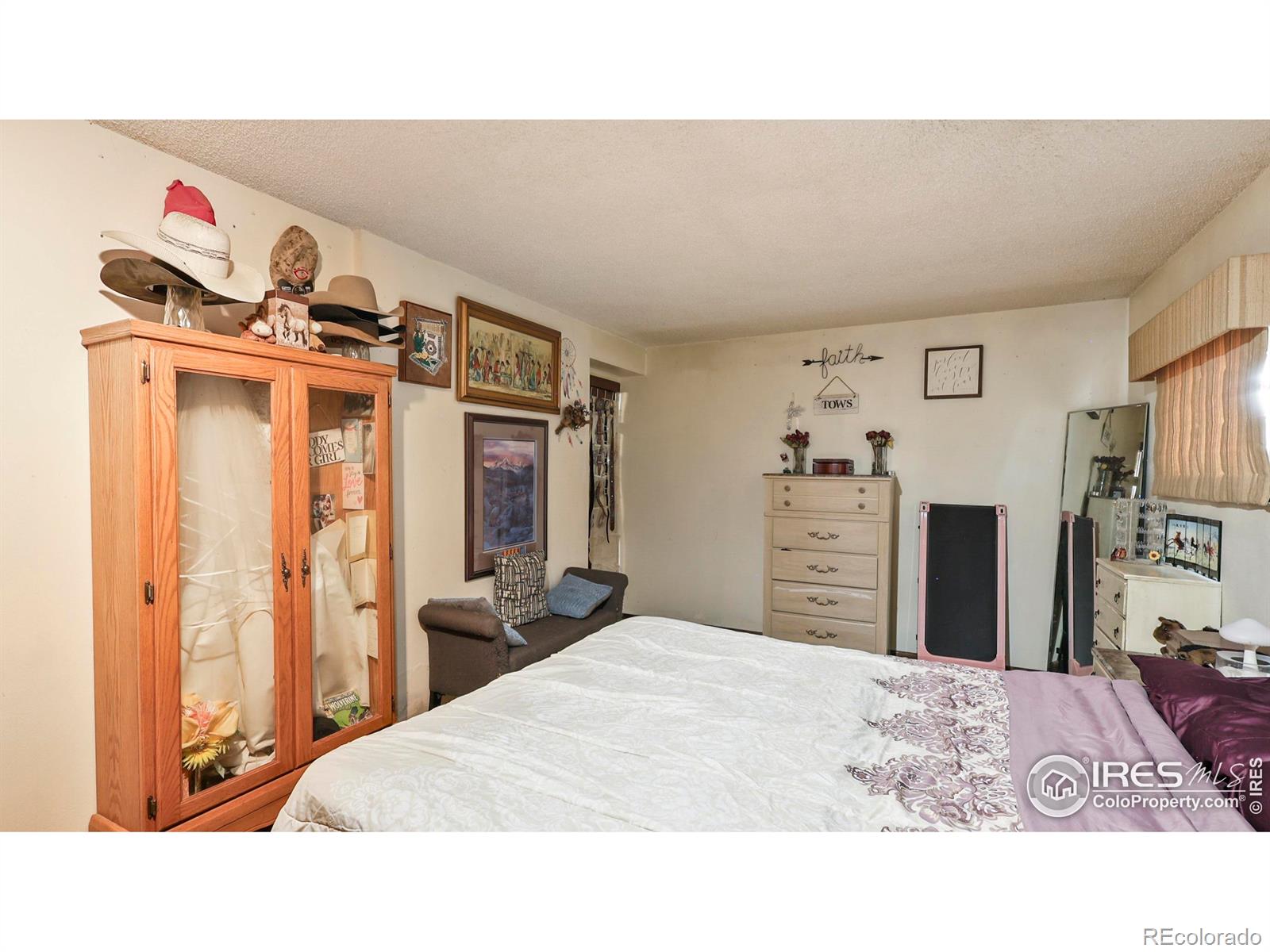 MLS Image #12 for 100  spruce street,log lane village, Colorado