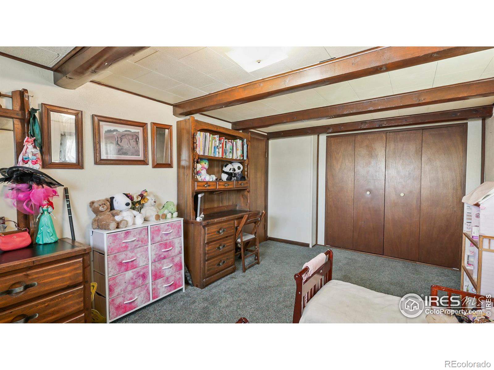 MLS Image #13 for 100  spruce street,log lane village, Colorado
