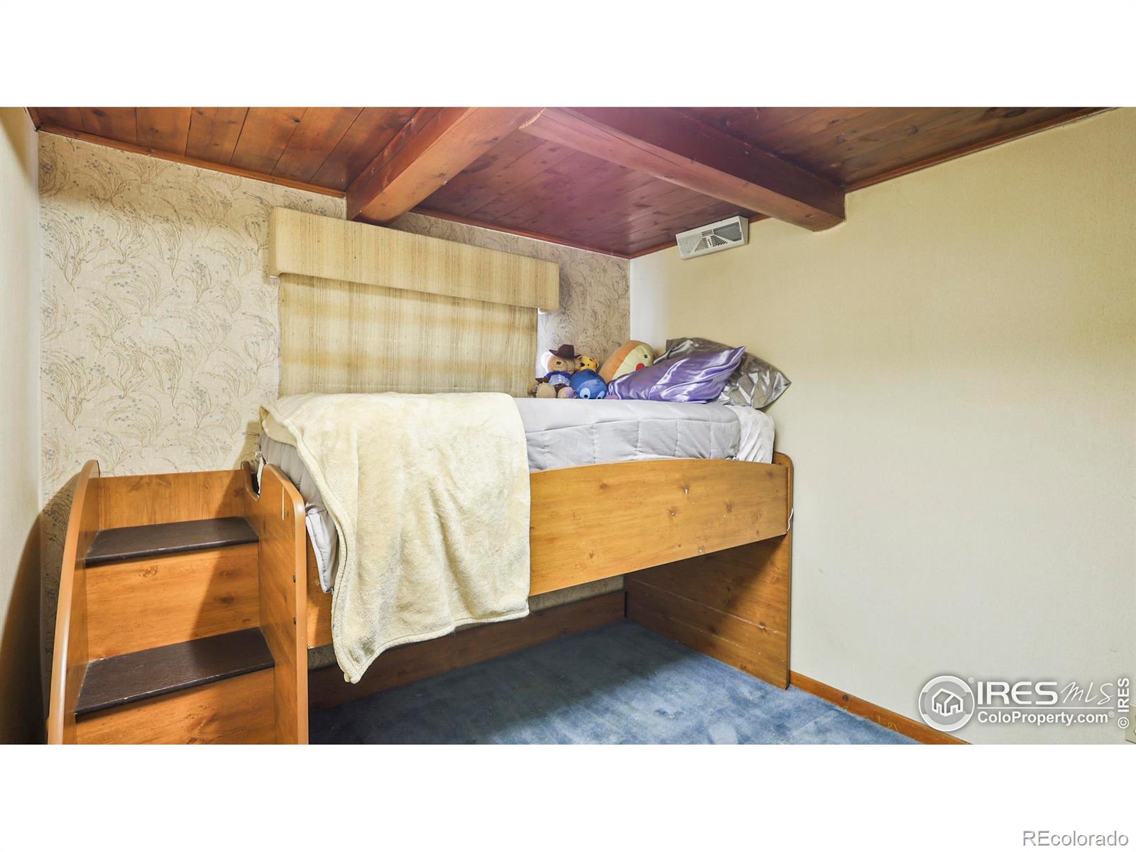 MLS Image #15 for 100  spruce street,log lane village, Colorado