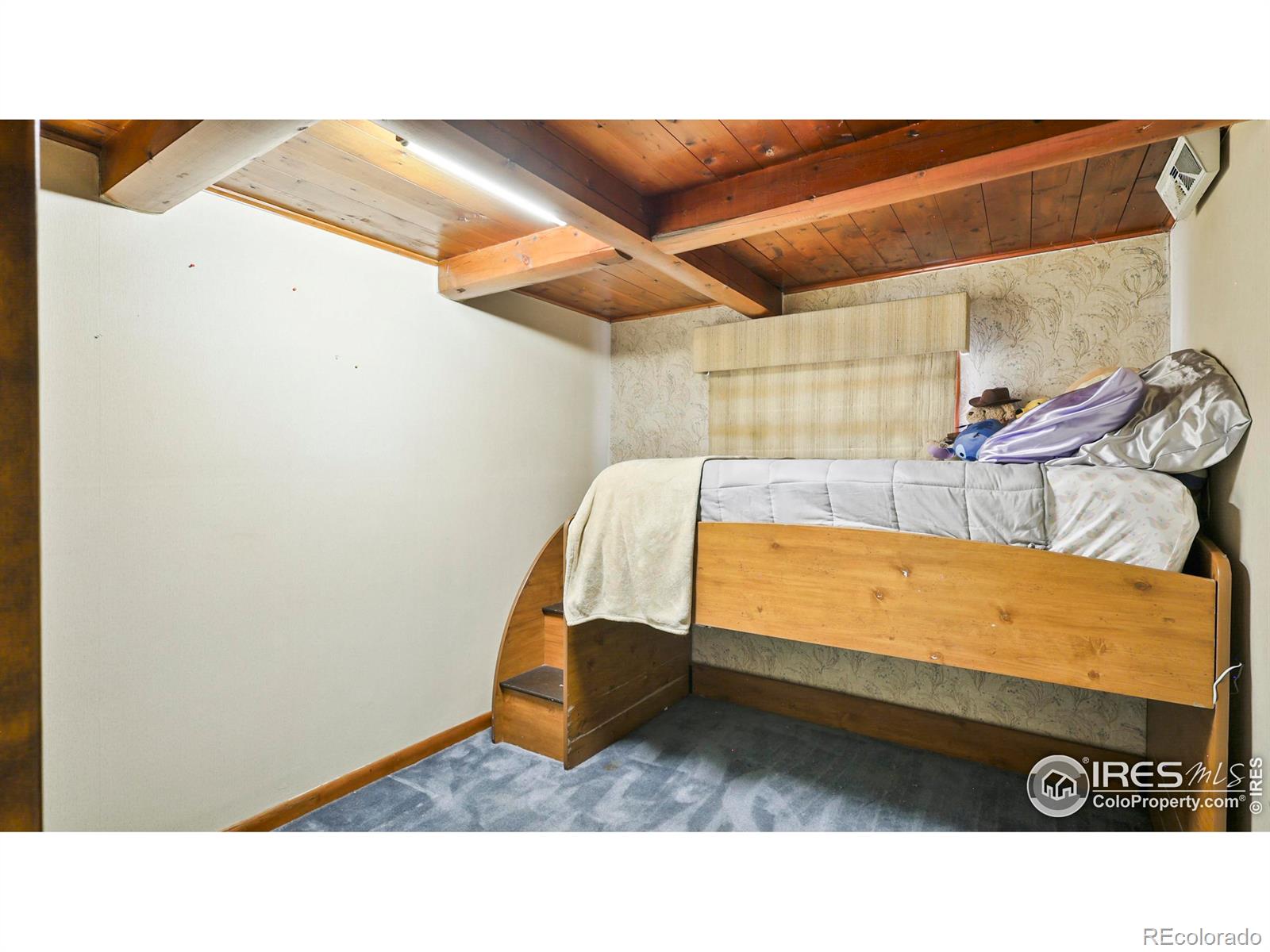 MLS Image #16 for 100  spruce street,log lane village, Colorado