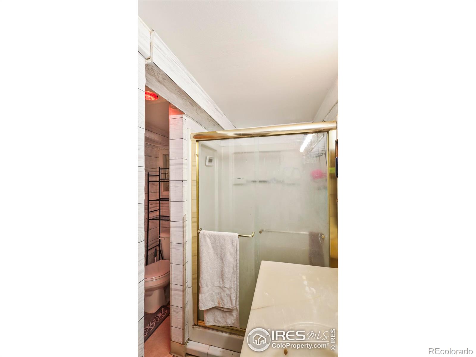 MLS Image #5 for 100  spruce street,log lane village, Colorado