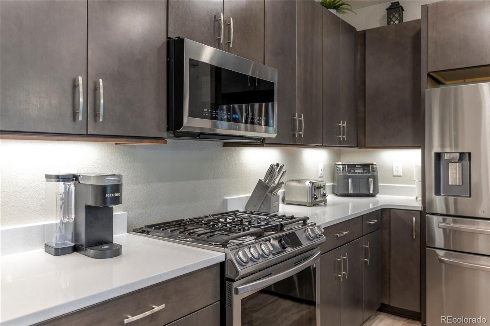 MLS Image #14 for 3198  ireland moss street,castle rock, Colorado