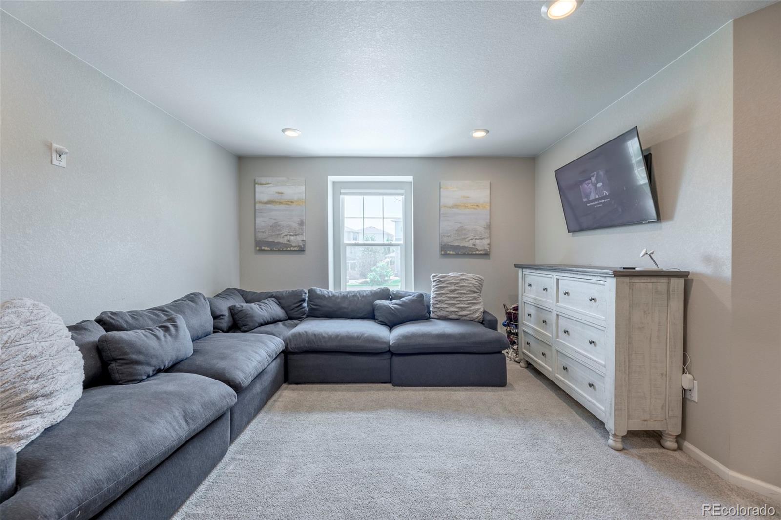 MLS Image #21 for 3198  ireland moss street,castle rock, Colorado