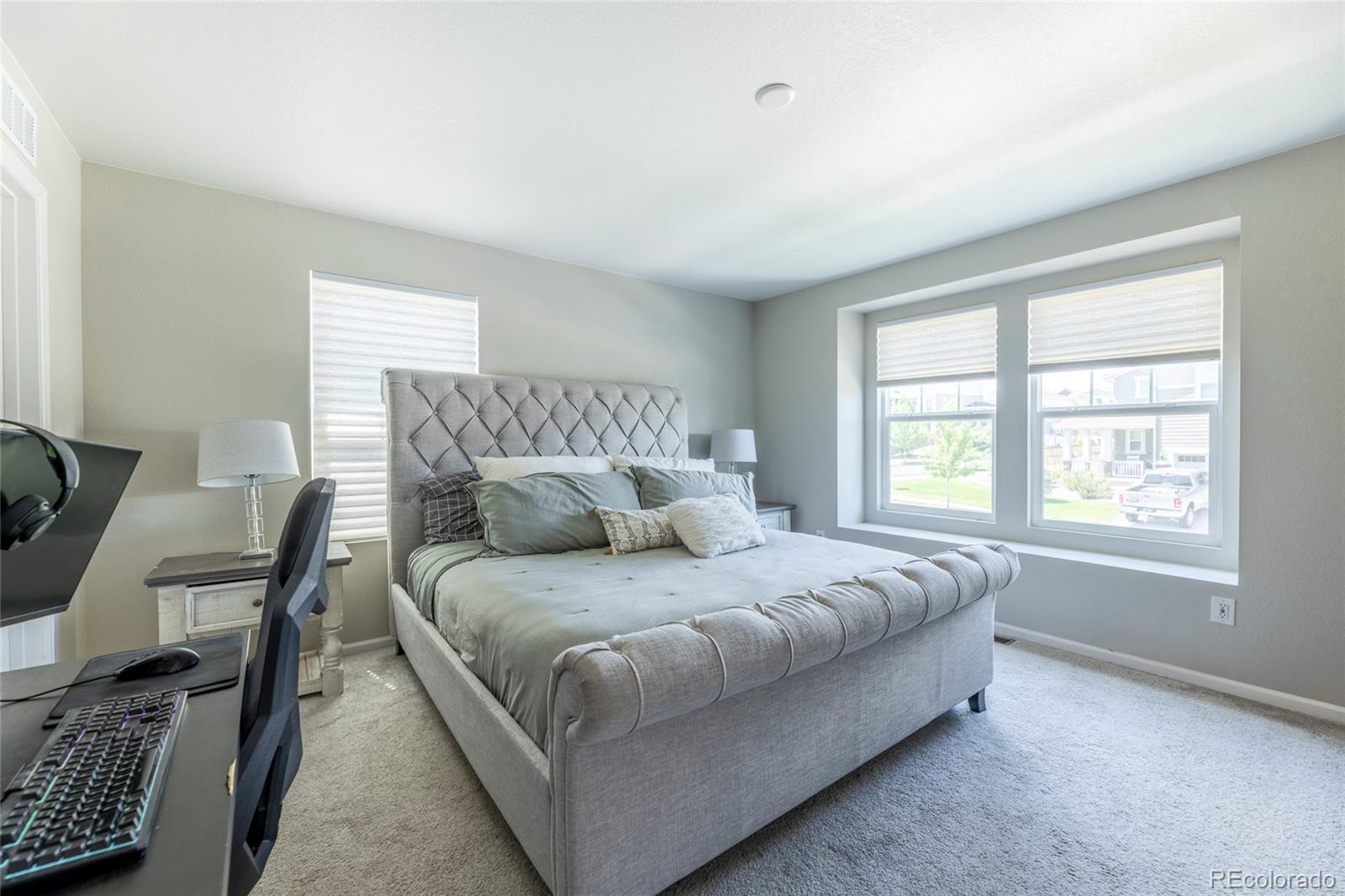MLS Image #25 for 3198  ireland moss street,castle rock, Colorado