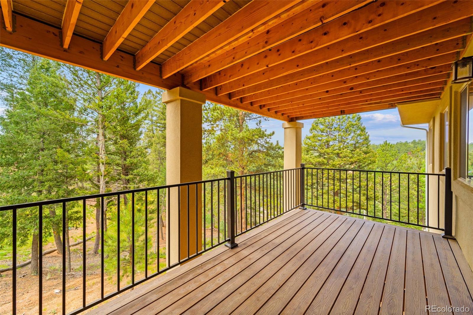 MLS Image #10 for 367  cottonwood lake drive,divide, Colorado