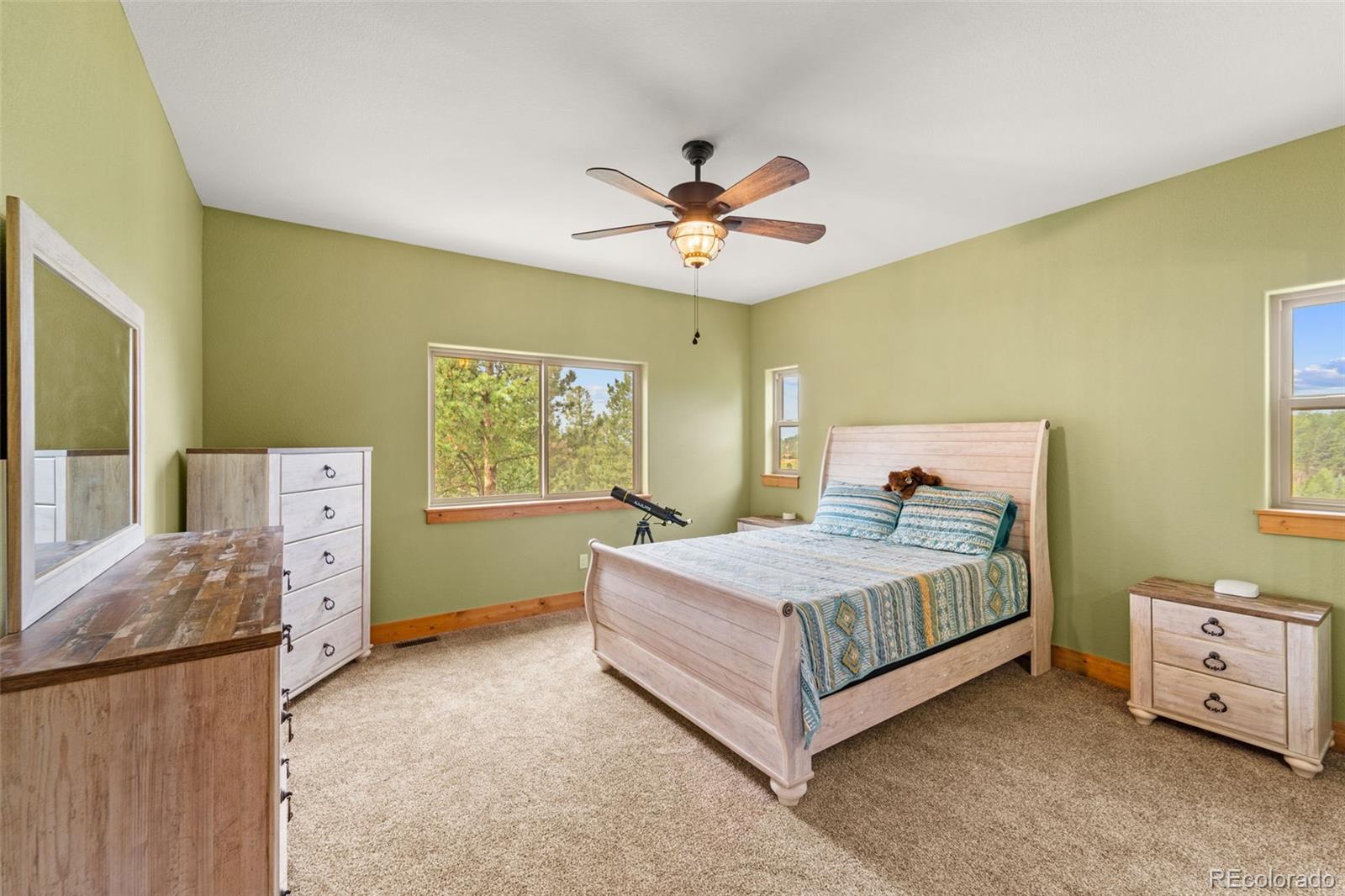 MLS Image #22 for 367  cottonwood lake drive,divide, Colorado