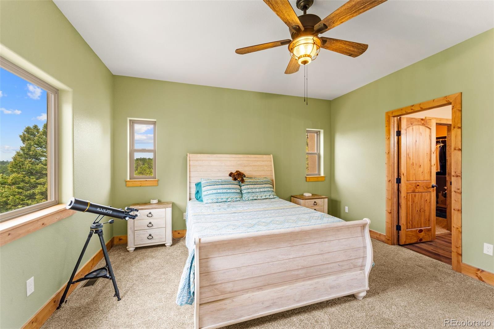 MLS Image #24 for 367  cottonwood lake drive,divide, Colorado