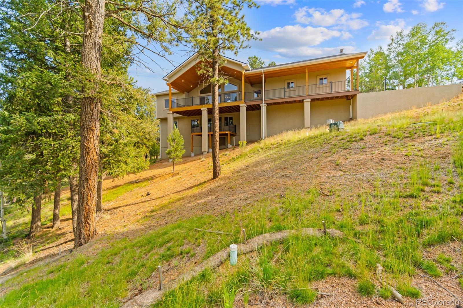 MLS Image #3 for 367  cottonwood lake drive,divide, Colorado